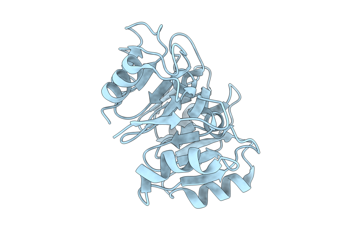 1G62 image