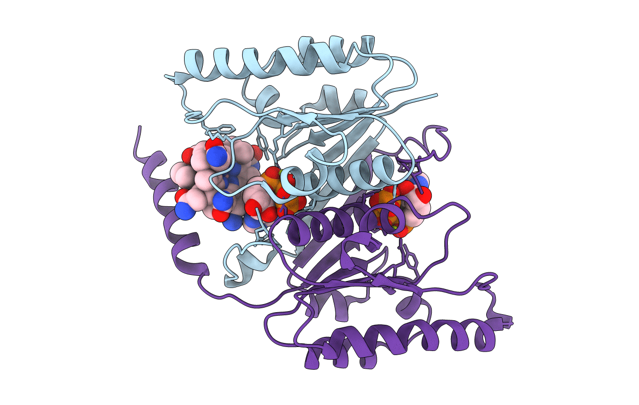1G64 image