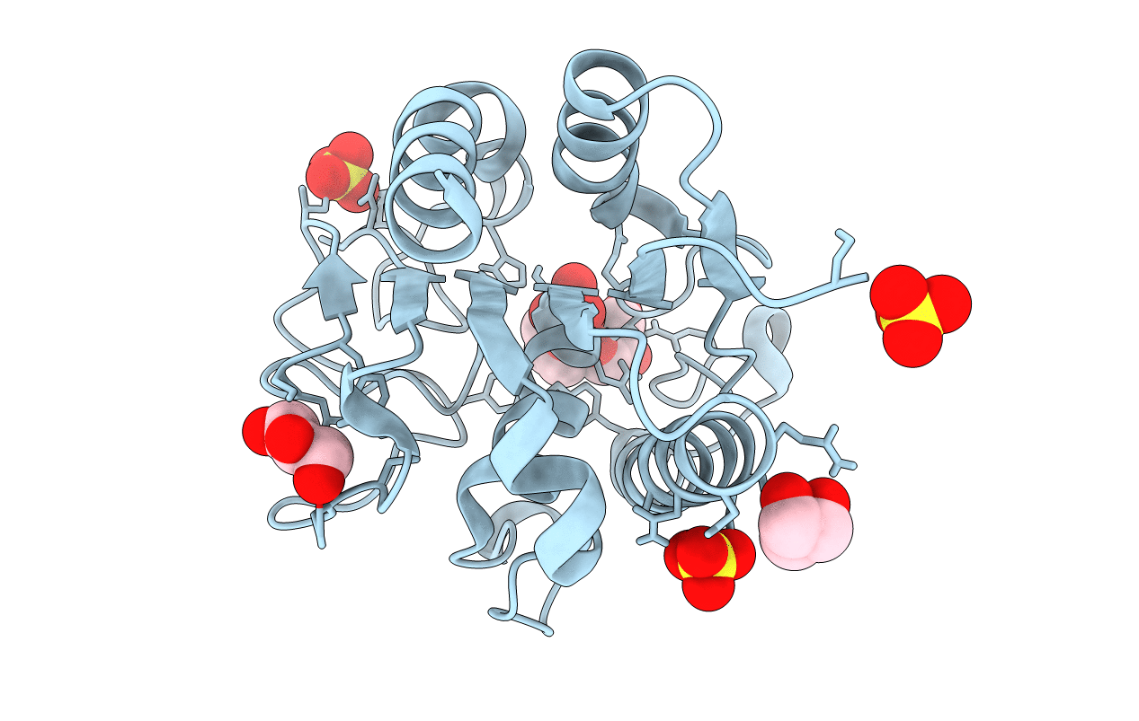 1G66 image