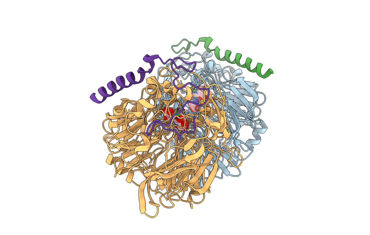 1G72 image