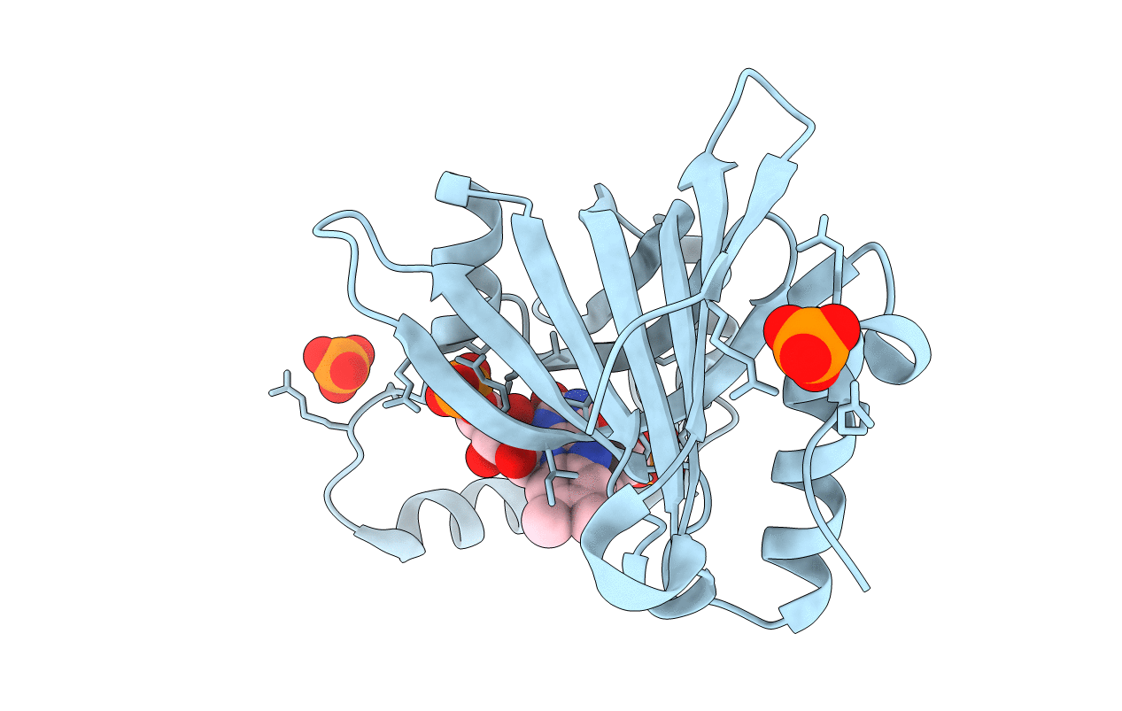 1G77 image