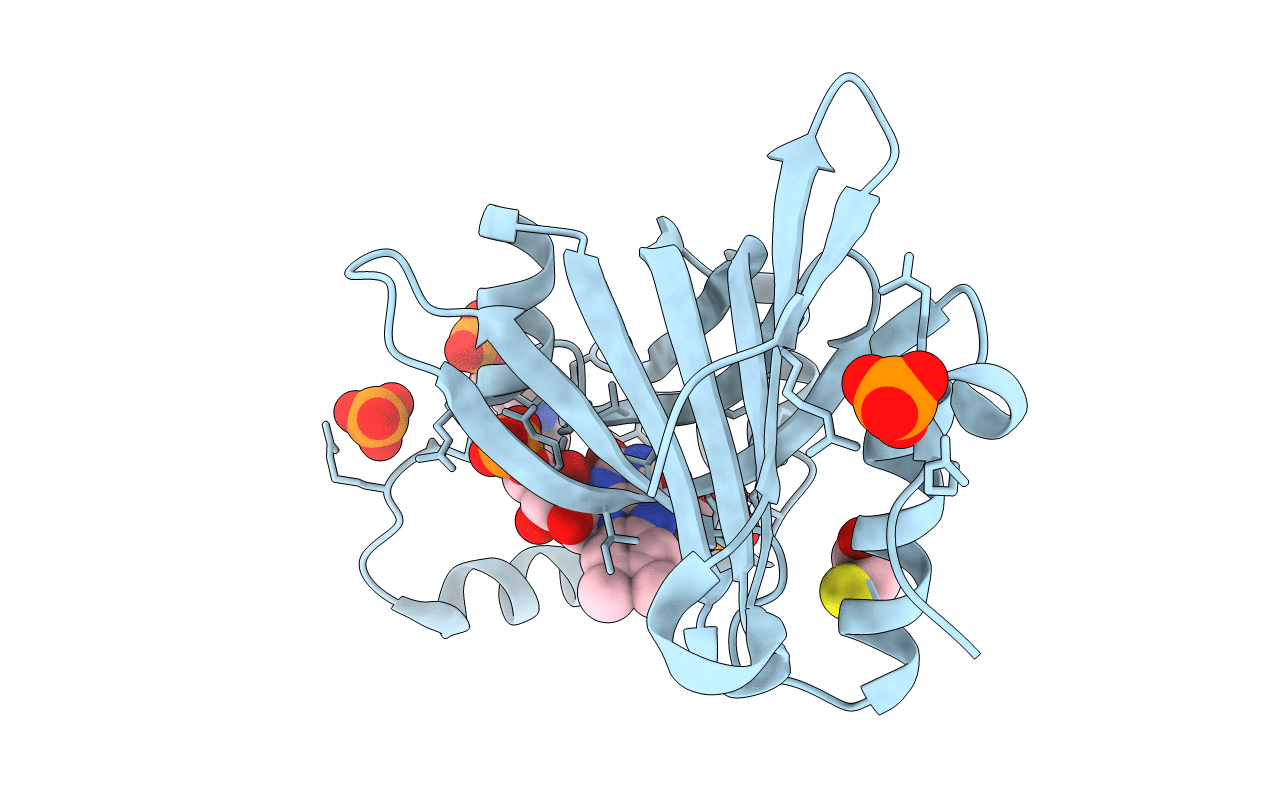 1g79 image