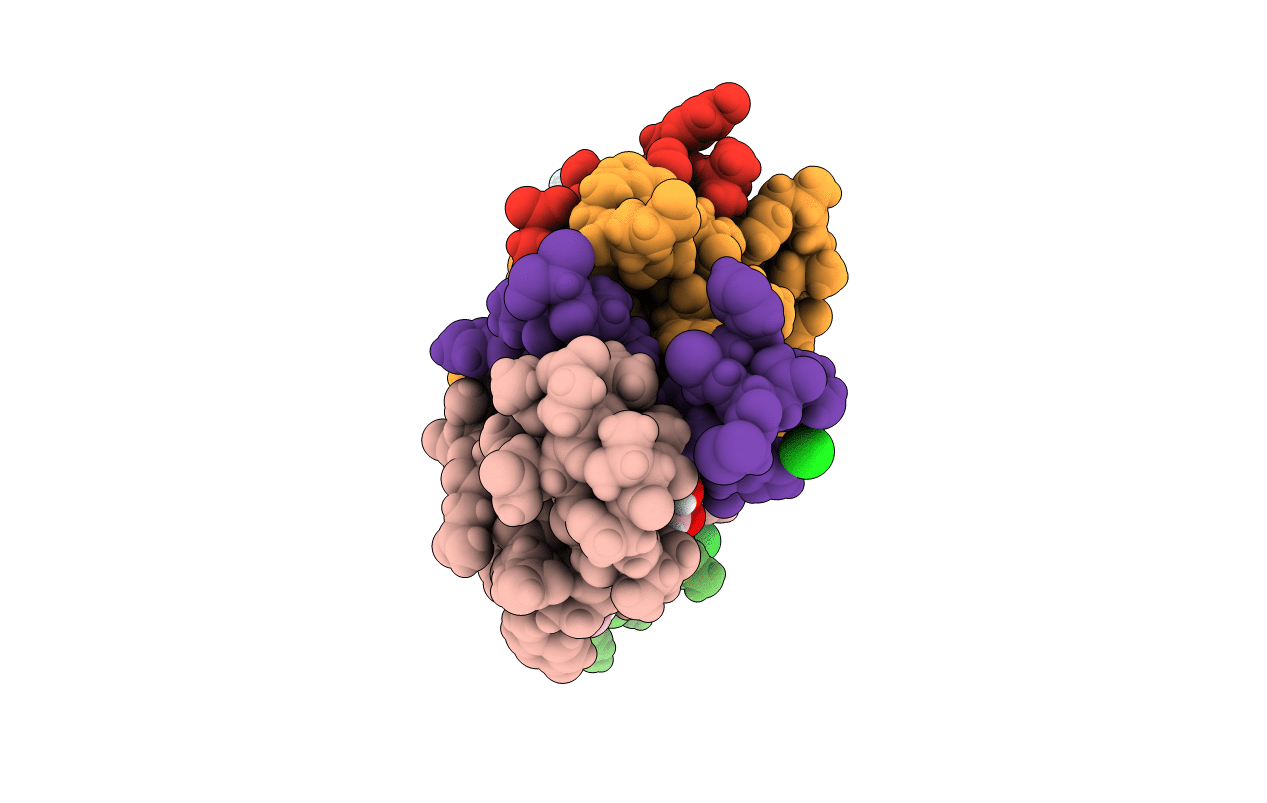 1G7B image