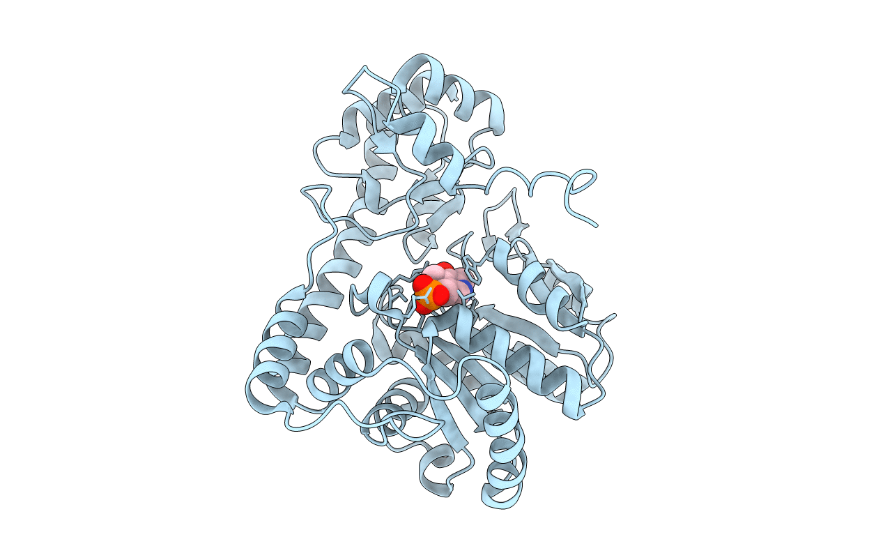 1G7X image