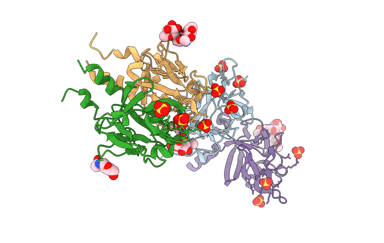 1G82 image