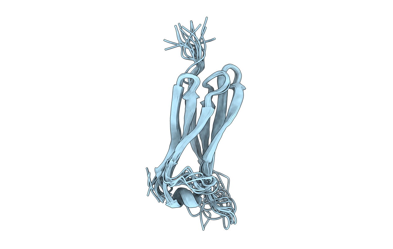 1G84 image