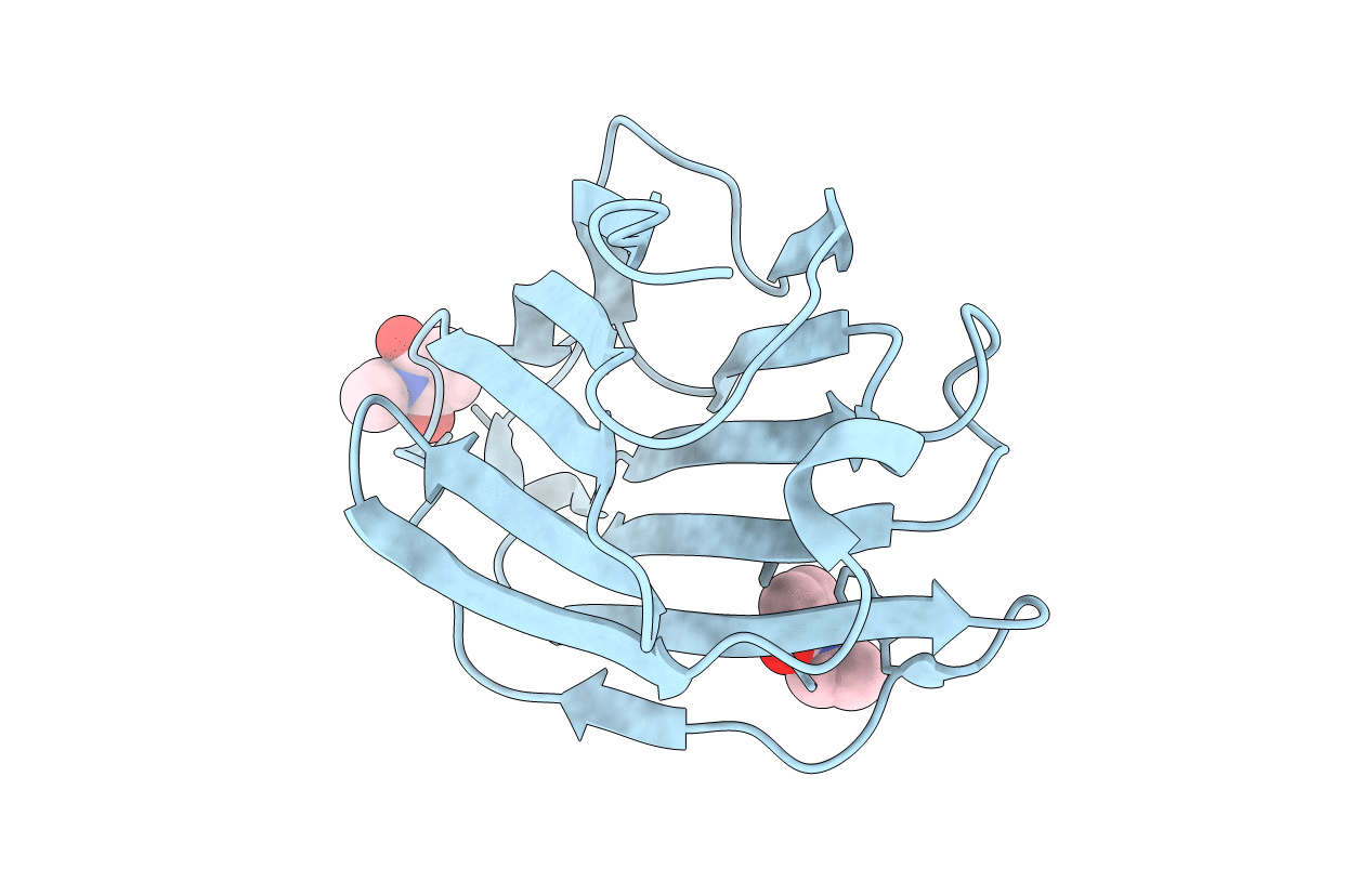 1G86 image