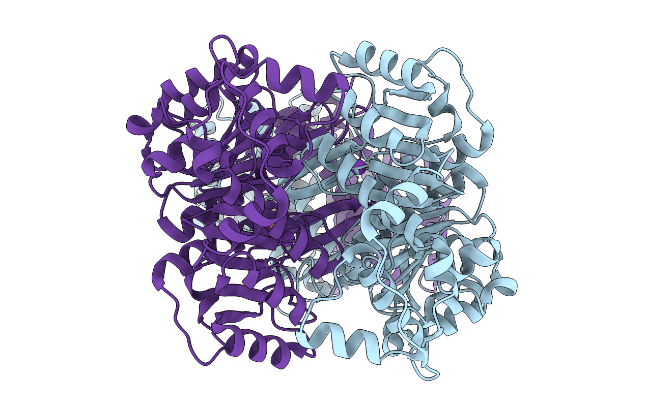 1G8M image