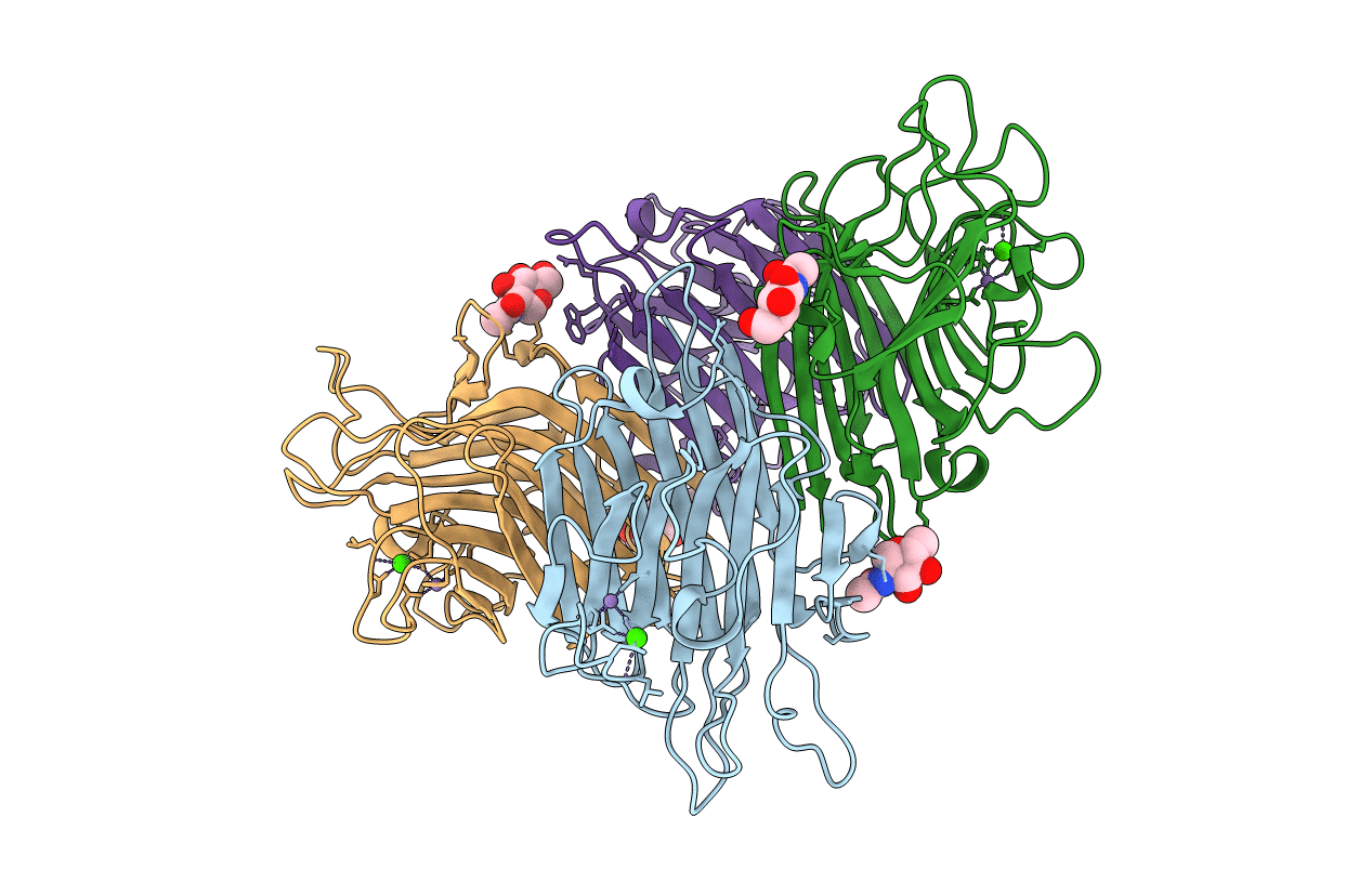 1G8W image