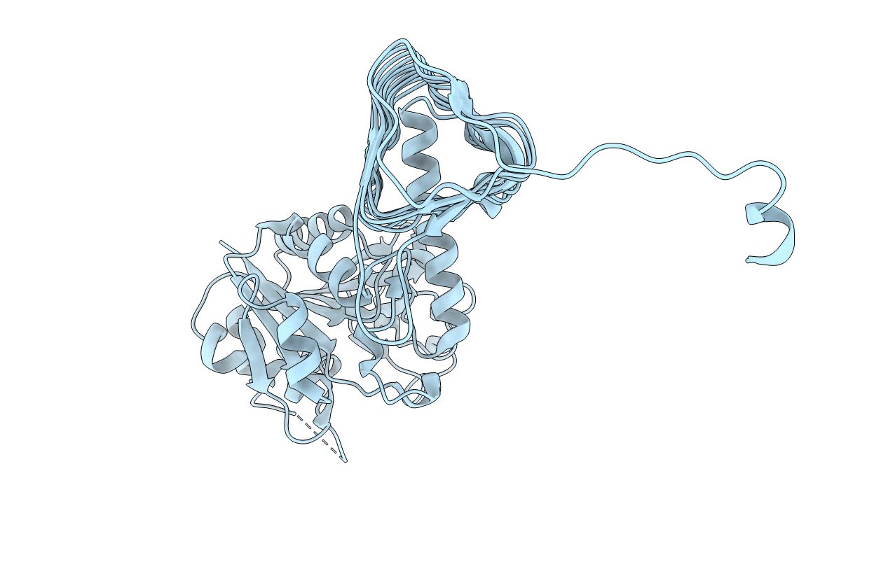 1G95 image