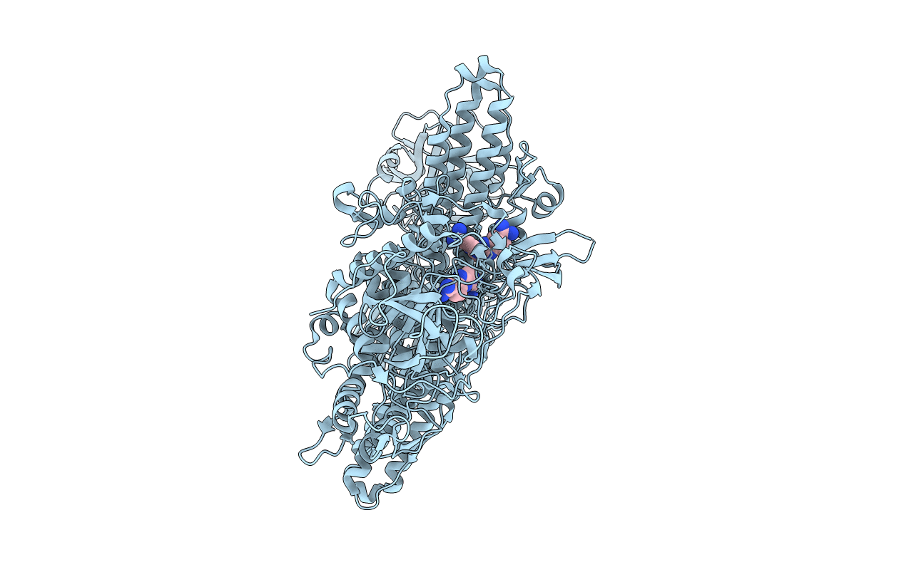 1g9a image