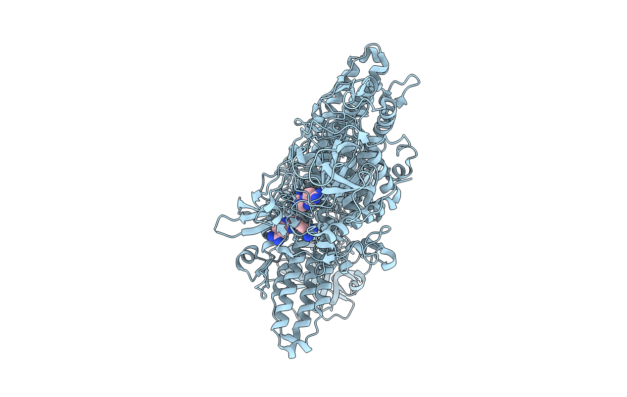 1G9B image