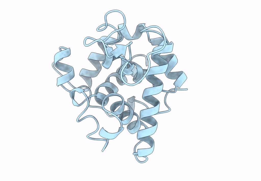 1GBS image