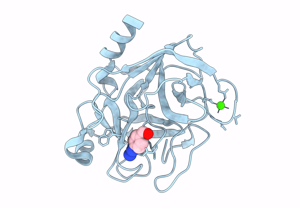1GBT image