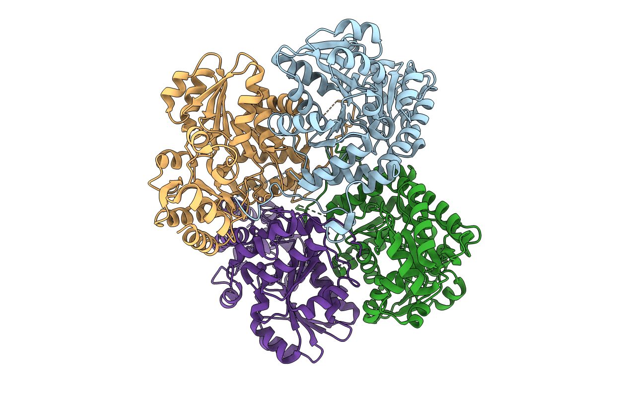 1GC2 image