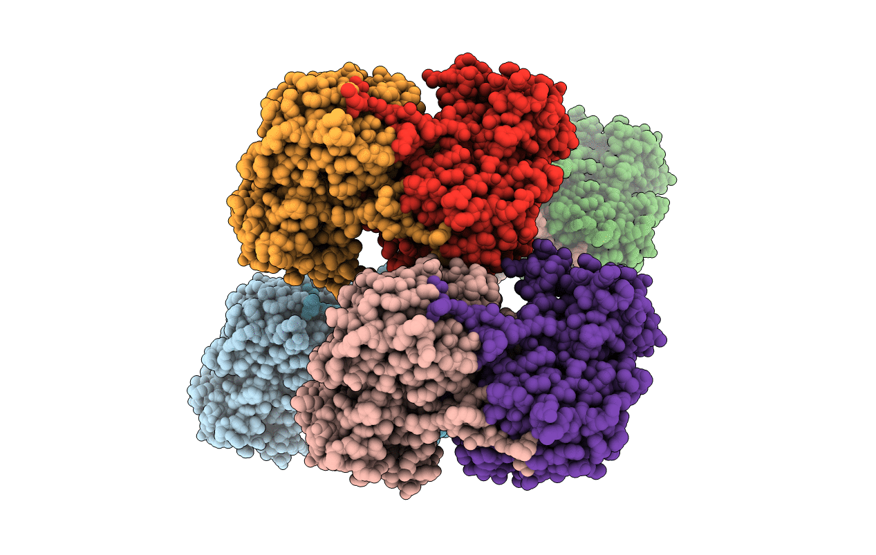 1GC3 image