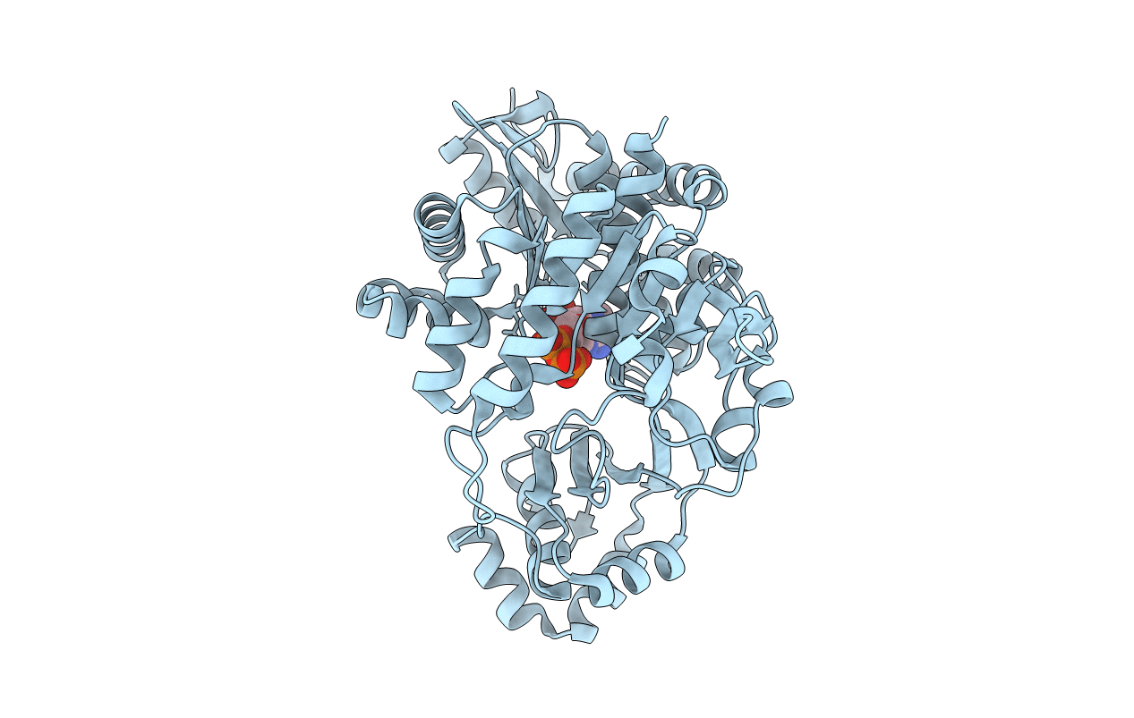 1GC5 image