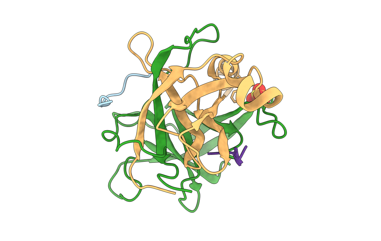 1GCT image