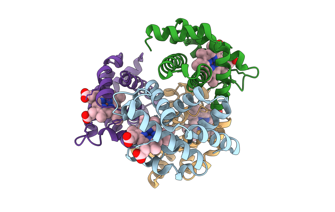 1gcv image