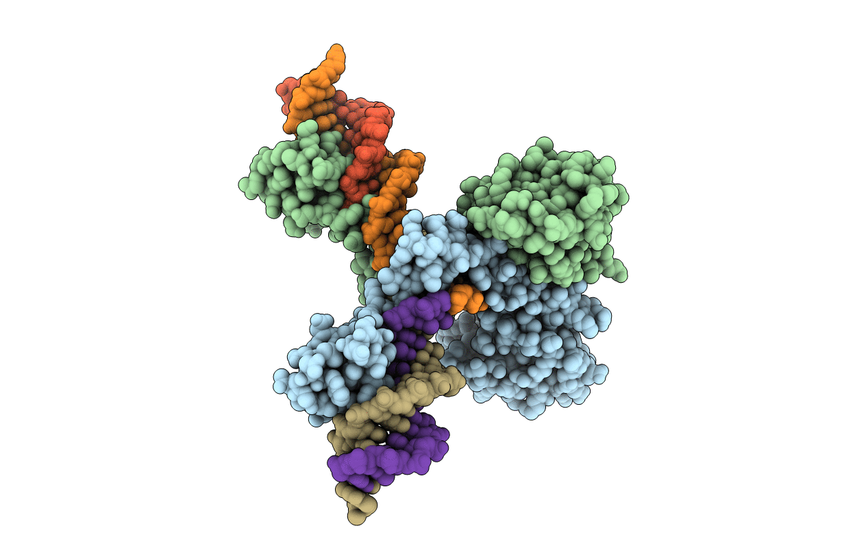1gdt image