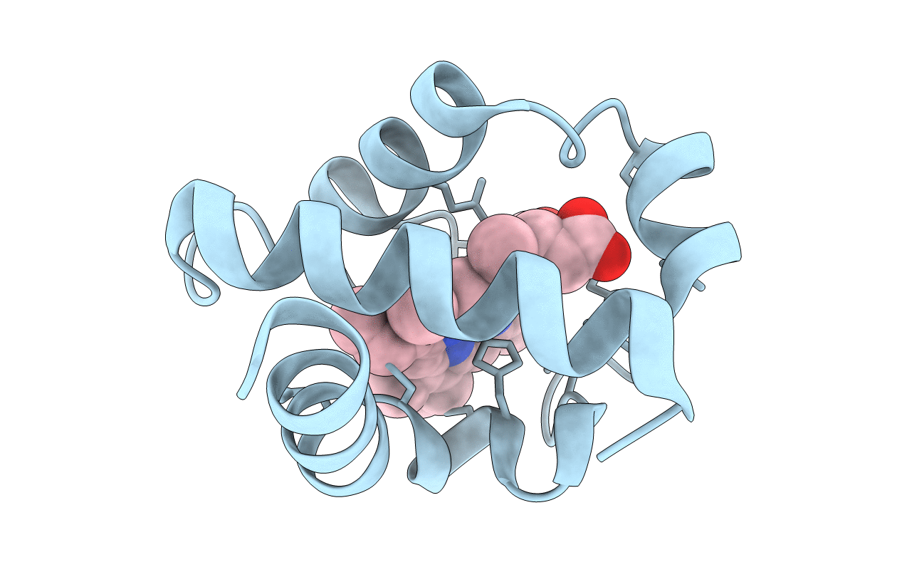 1GDV image