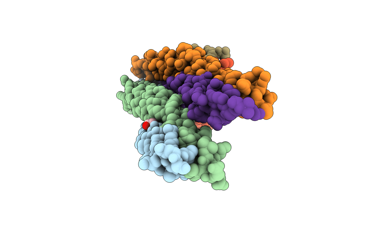 1GK4 image