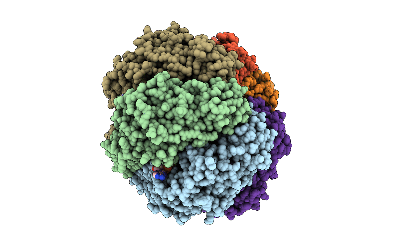 1GKI image