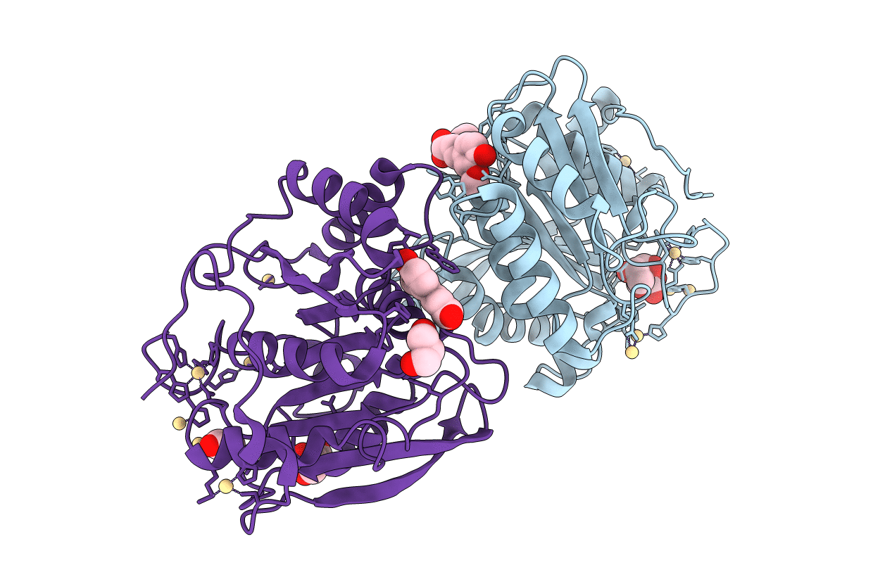 1GKL image