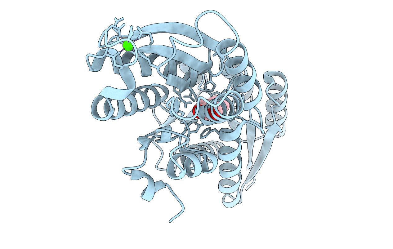 1GLG image