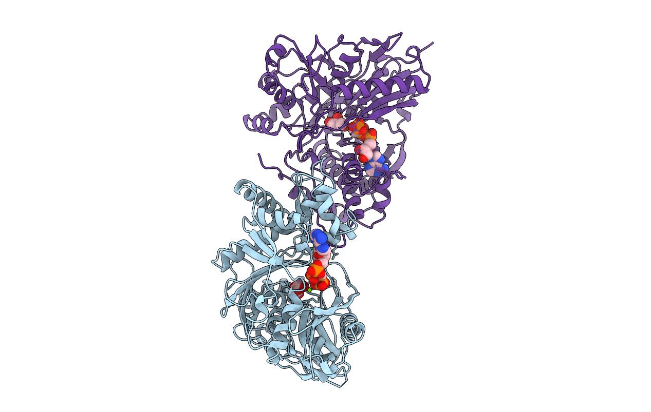 1GLL image
