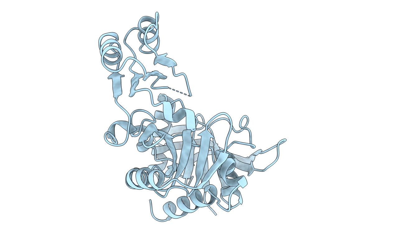 1GLV image