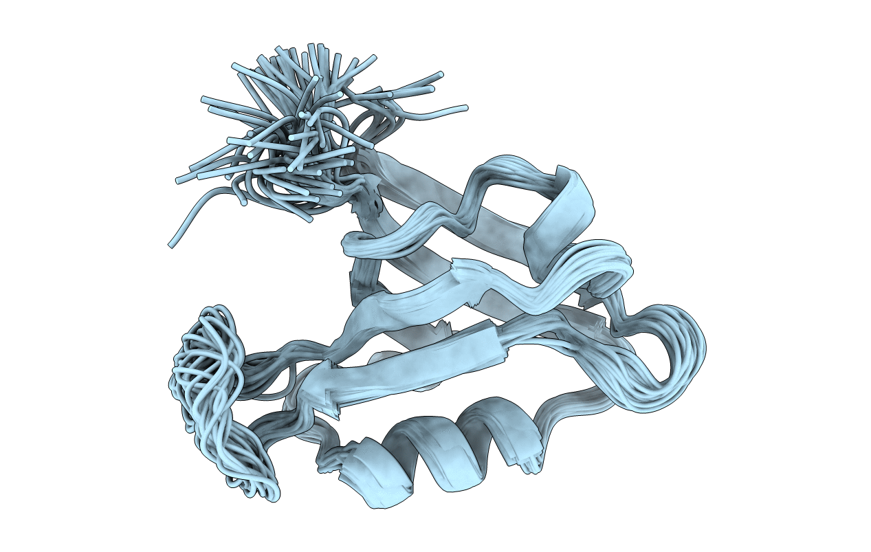 1gm1 image