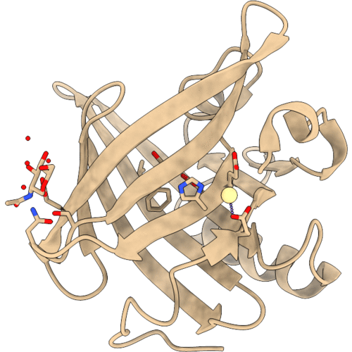 1GM6 image