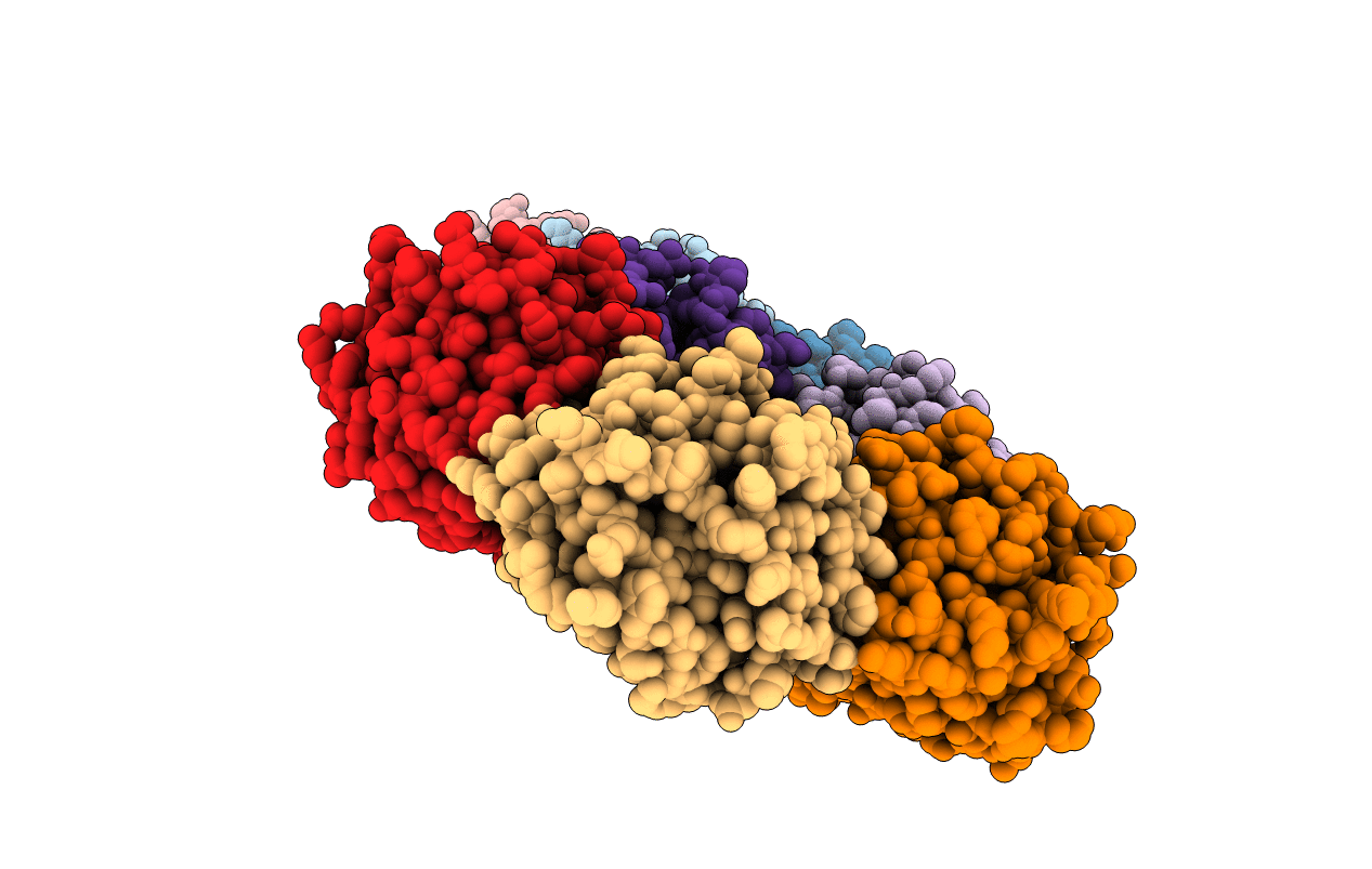 1gnh image
