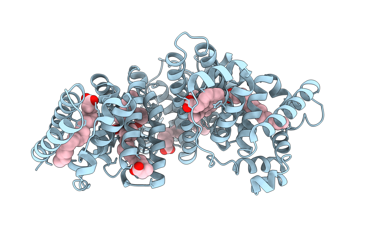 1GNJ image