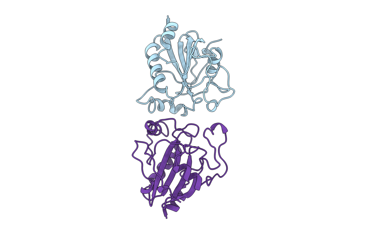 1GP1 image