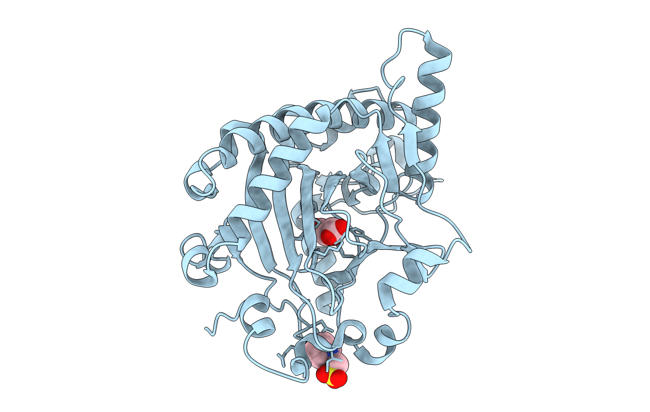 1GP4 image