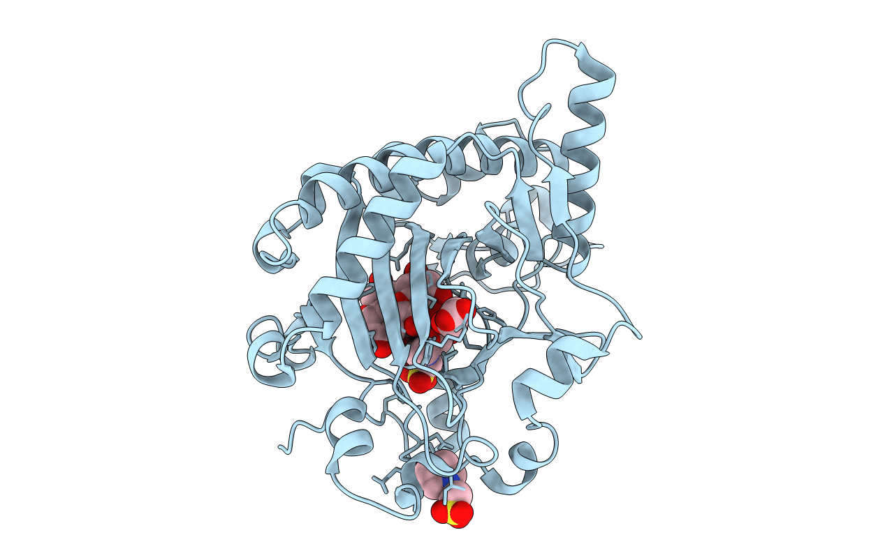 1GP6 image