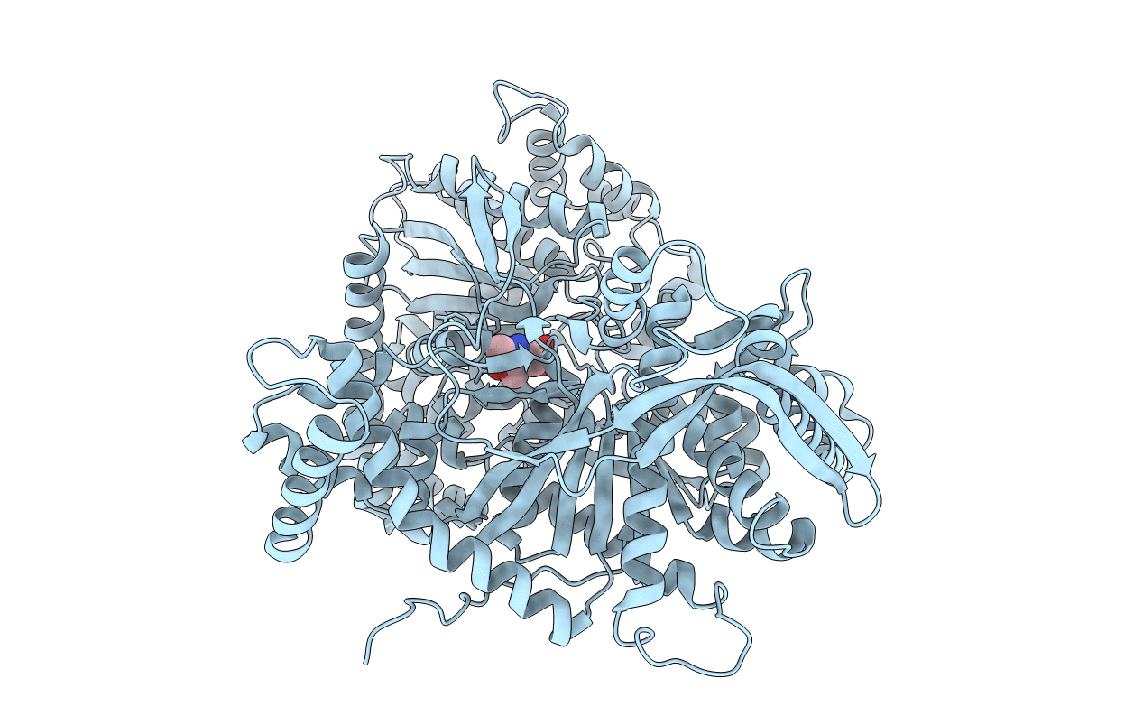 1GPB image