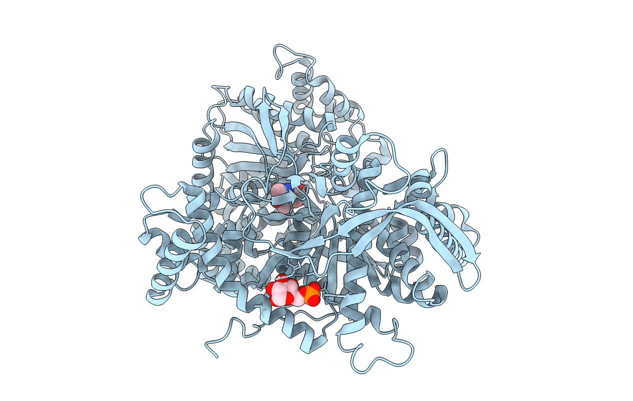 1GPY image