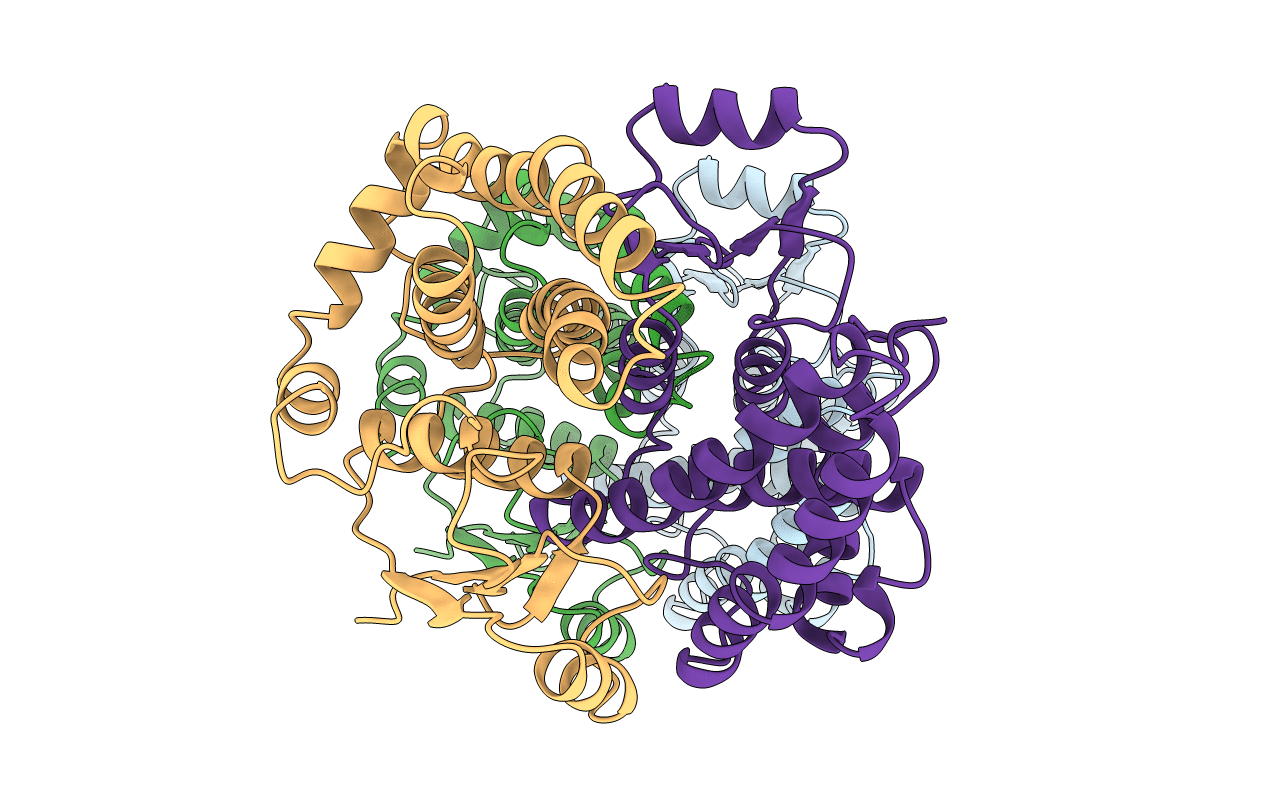 1GSD image