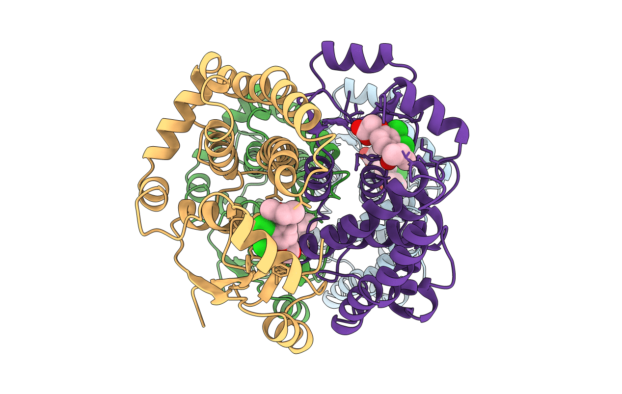 1GSF image