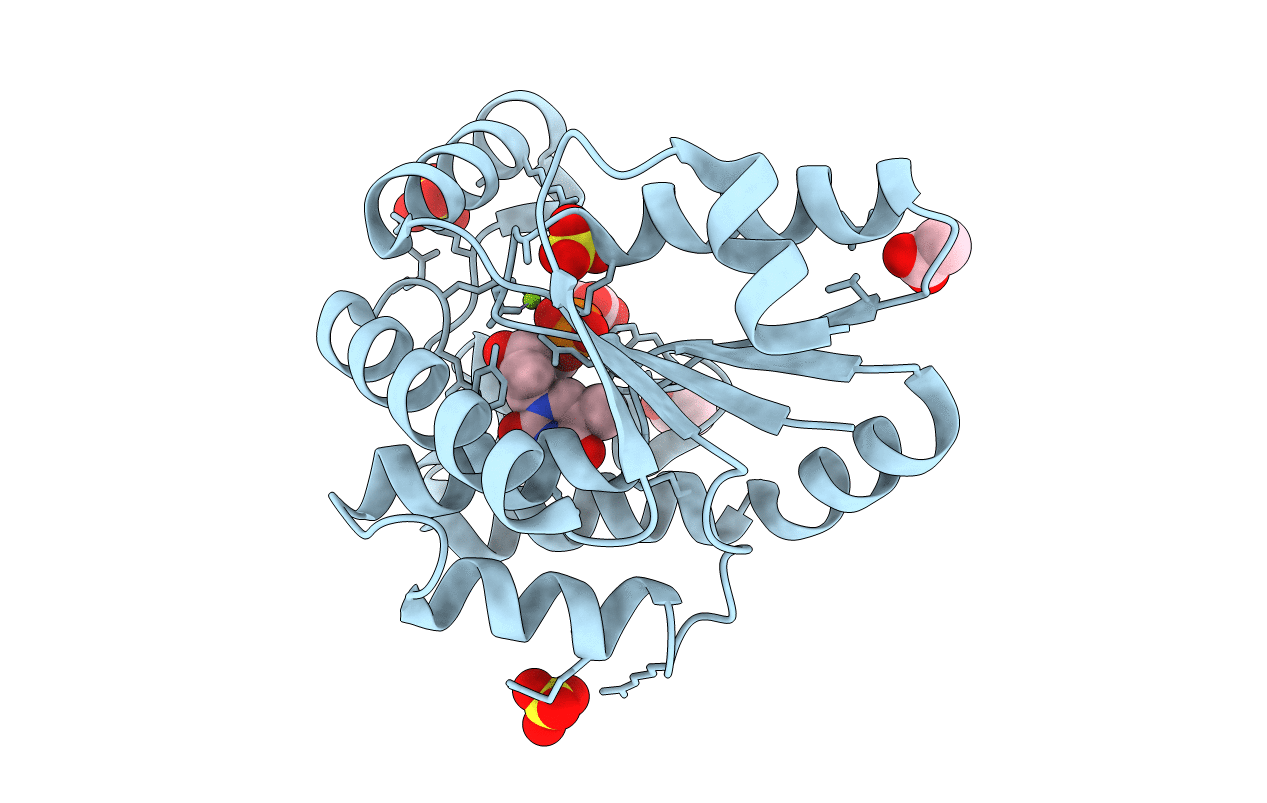 1GSI image