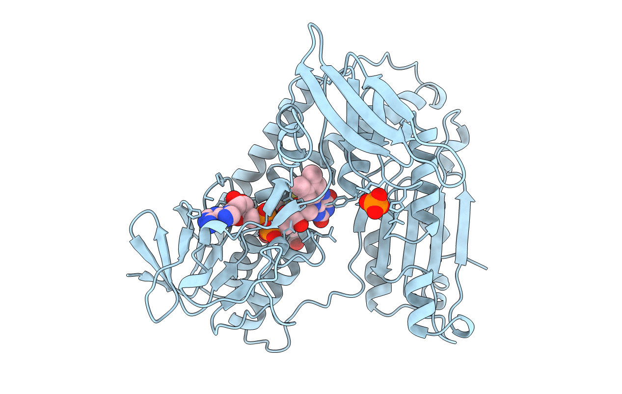 1GSN image