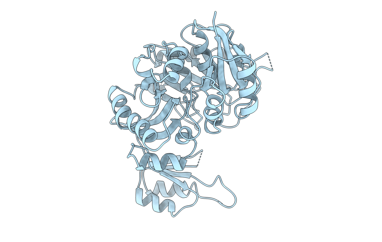 1GSO image