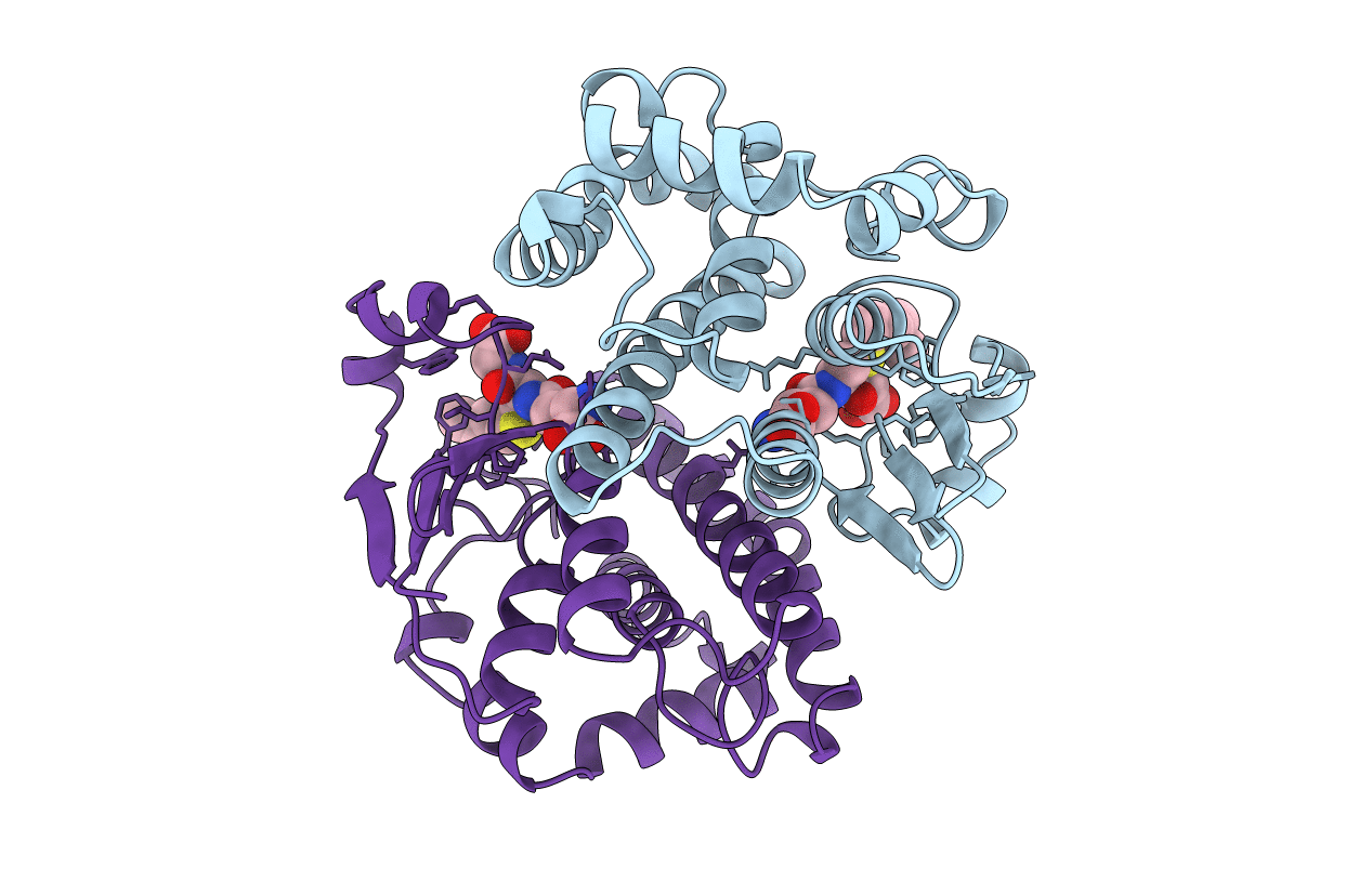 1GSS image