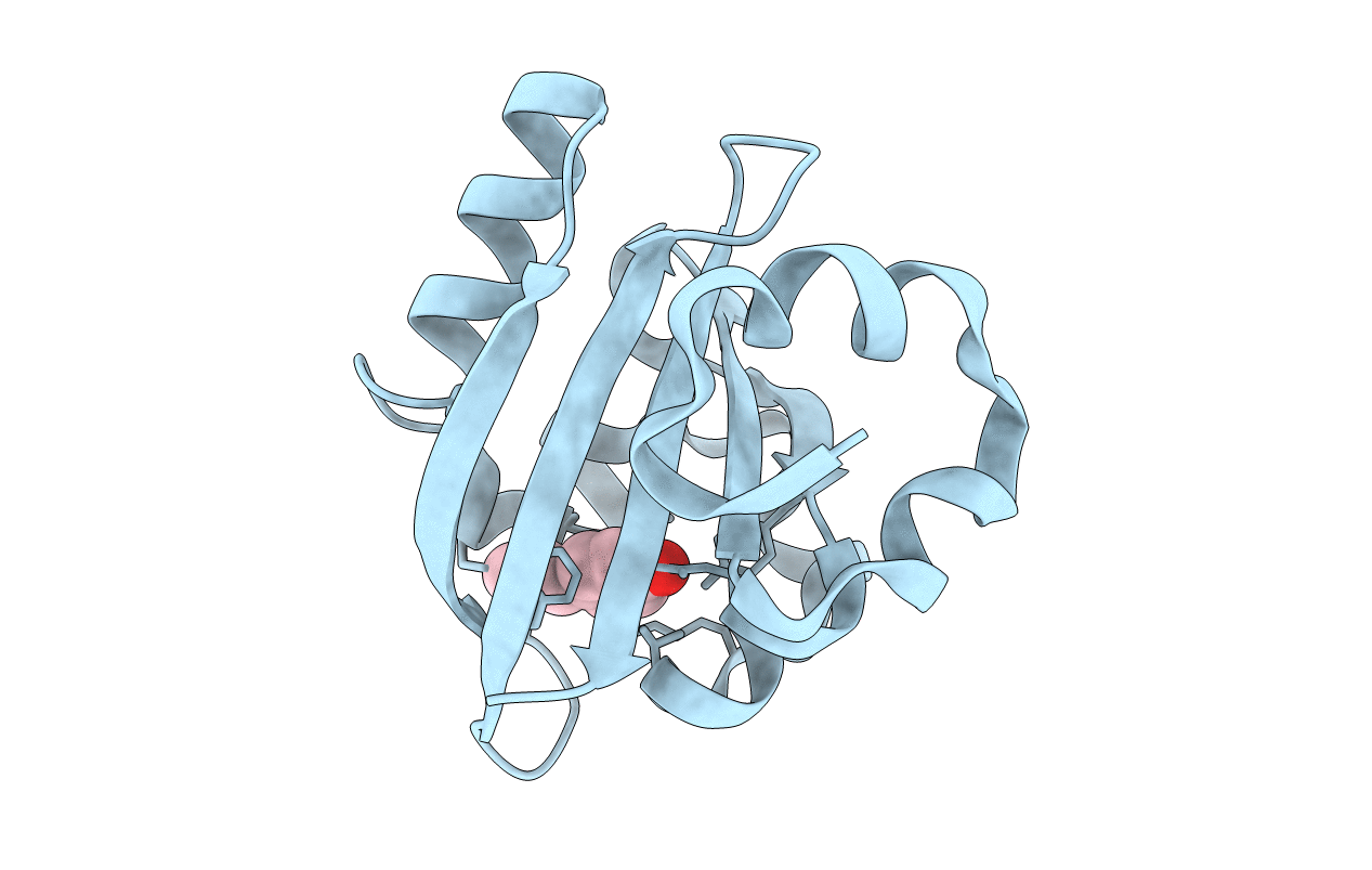 1GSW image