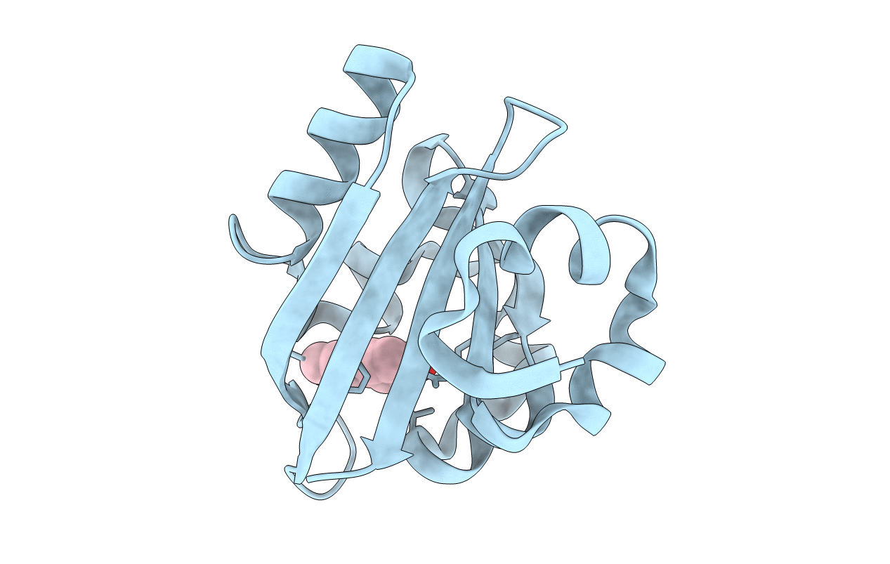 1GSX image