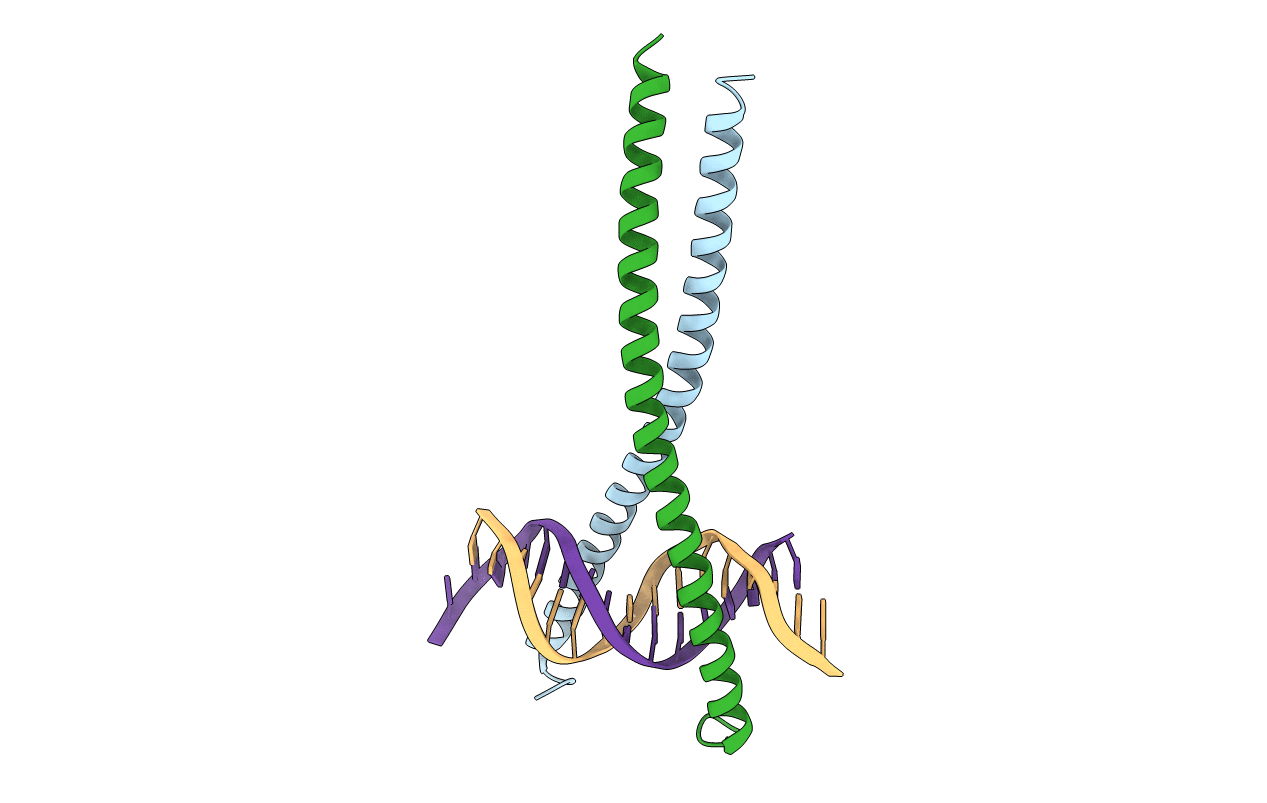1GTW image