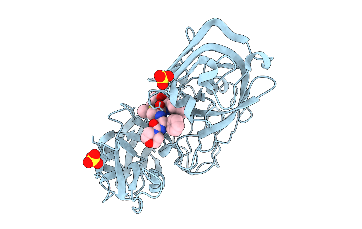 1GVT image